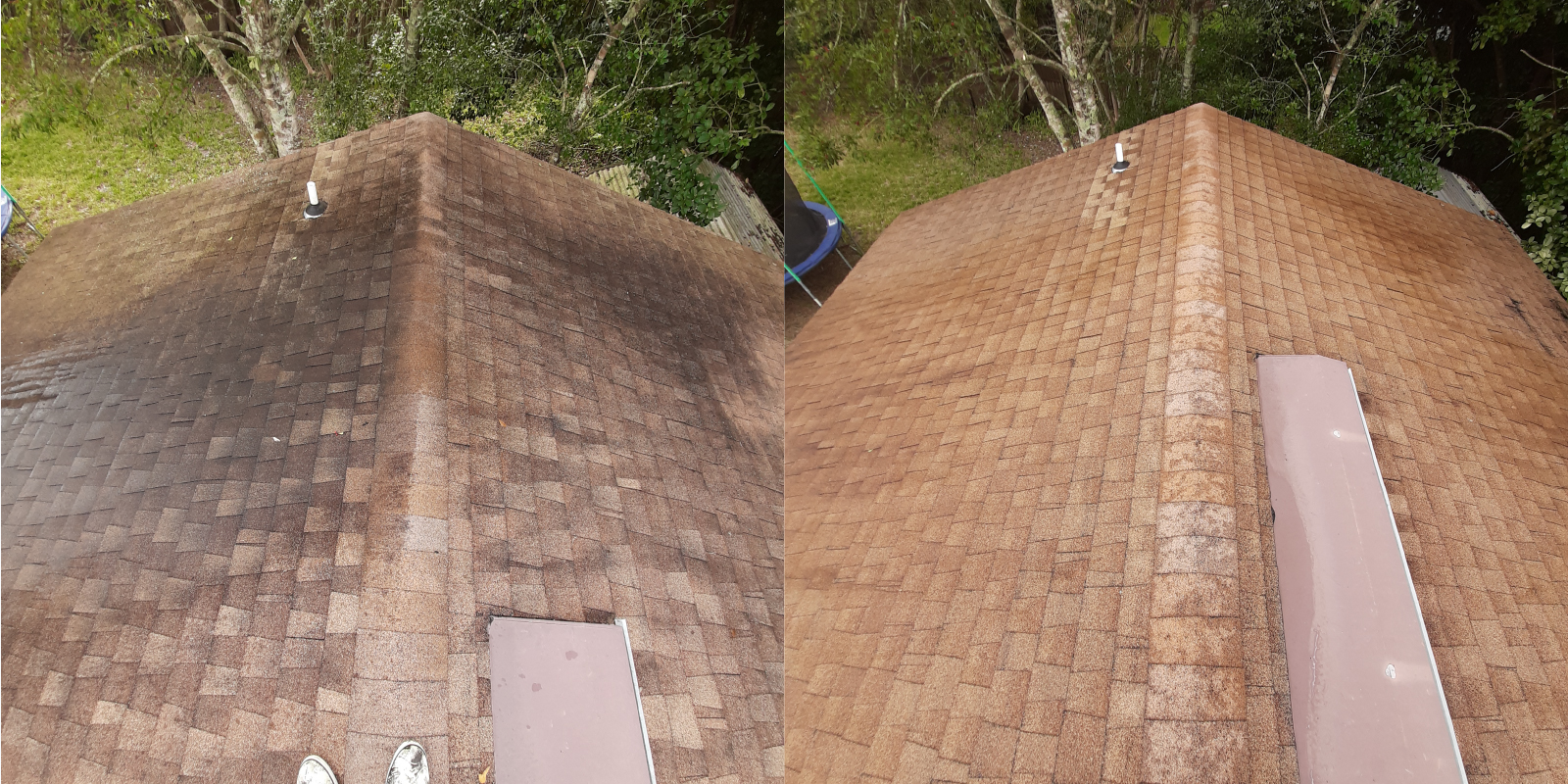 roof cleaning before and after