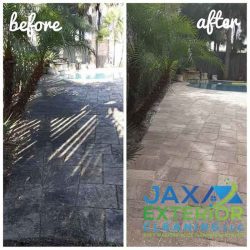 pavers by trees before and after